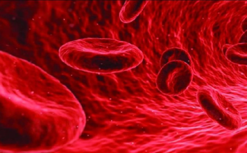 মধ্যযুগে রক্তের বিকল্প হিসেবে কী ব্যবহার করতেন চিকিৎসকরা !! মধ্যযুগে রক্তের বিকল্প